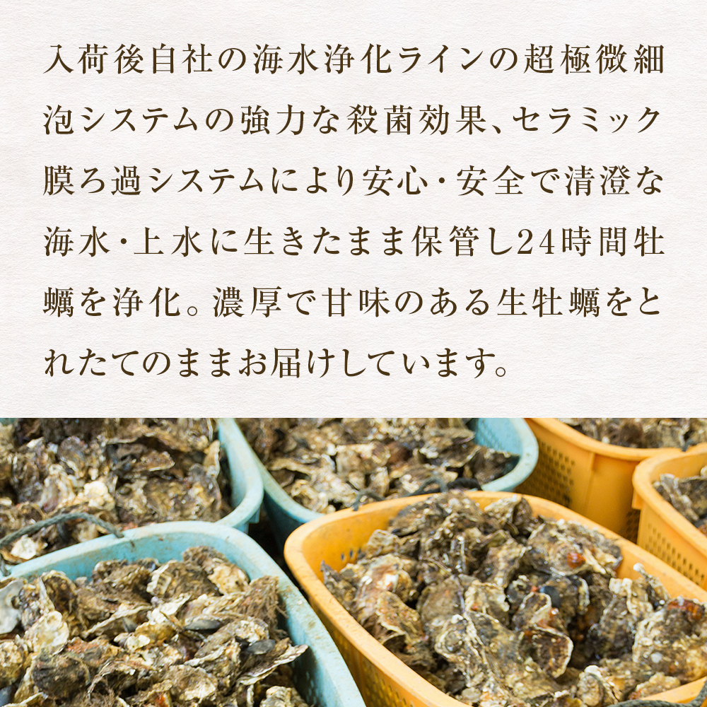 牡蠣 殻付き 生食 可 18個（6個入×3袋） 宮城県産 冷凍 小分け カキ かき オイスター 魚介類 海産物 海鮮 生牡蠣 蒸し牡蠣 生かき 厳選 濃厚 大粒 BBQ バーベキュー 浜焼き 海鮮焼き レンジ 調理 宮城 石巻 宮城県 石巻市