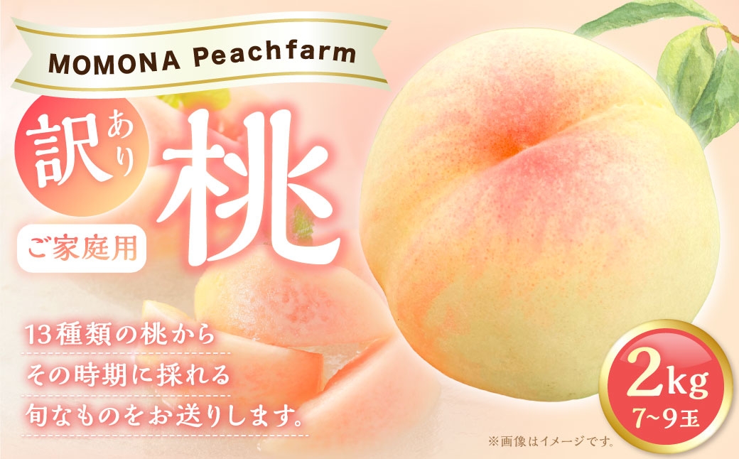 
                  【 訳あり 】 ご家庭用 モモナピーチファームの桃 2kg （ 7～9玉 ） くだもの 果物 フルーツ 果実 果汁 果肉 もも 桃 モモ 国産 岡山県産 清水白桃 白鳳 恋みらい 冷蔵 【 2026年6月上旬～8月下旬迄発送予定 】
                