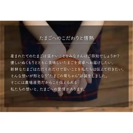 菊ちゃんのたまご5kg箱【配送不可地域：離島】【1185768】