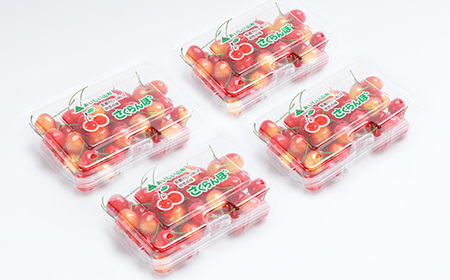 先行予約 さくらんぼ 佐藤錦 秀Mサイズ 800g (200g×4パック) フードパック 2024年産 令和6年産 山形県産 ns-snsmp800 ※沖縄・離島への配送不可