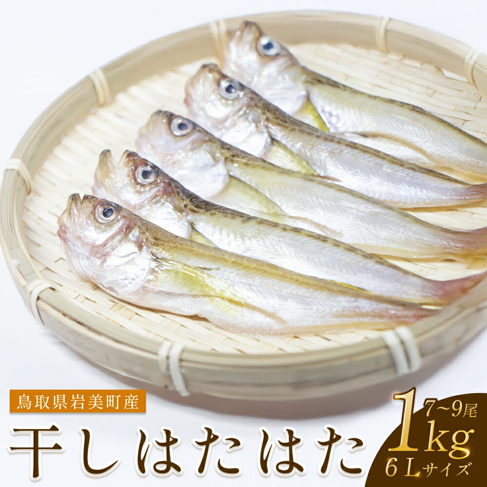 【ふるさと納税】干しはたはた 1Kg（6L）8尾前後【24026】鳥取 岩美 山陰 日本海 ハタ 干物 ハタハタ