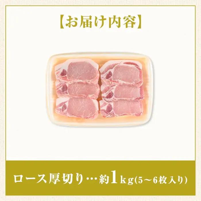 鹿児島県産 厚切り 豚ロースステーキ用 約1kg 豚肉 ポーク とんかつ【大将食品】A05051