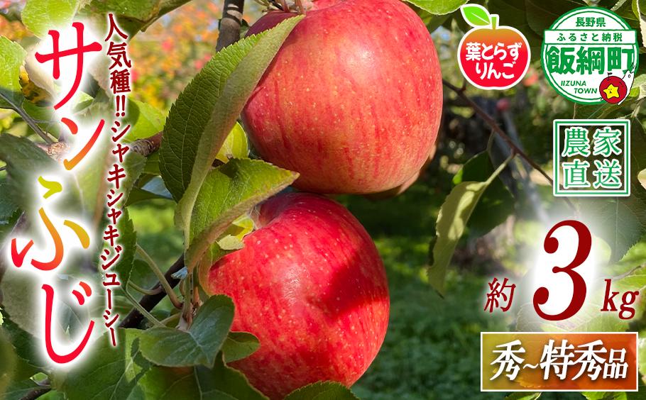 
                  りんご 葉とらず サンふじ 秀 〜 特秀 3kg フレッシュフルーツミカズキ 2026年11月下旬頃から2027年1月下旬頃まで順次発送予定 令和8年度収穫分 信州 果物 フルーツ リンゴ 林檎 長野 予約 農家直送 長野県 飯綱町 [1664]
                