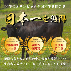 飛騨牛 牛肉 切り落とし 500g×2 計1kg A5 和牛