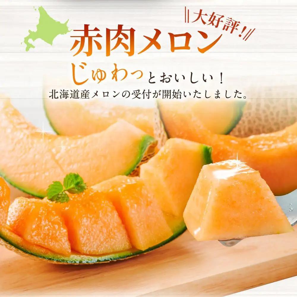 【26年発送先行予約】北海道 秀品 「赤肉メロン」LL玉×2個 (2026年7月発送開始予定) _04754