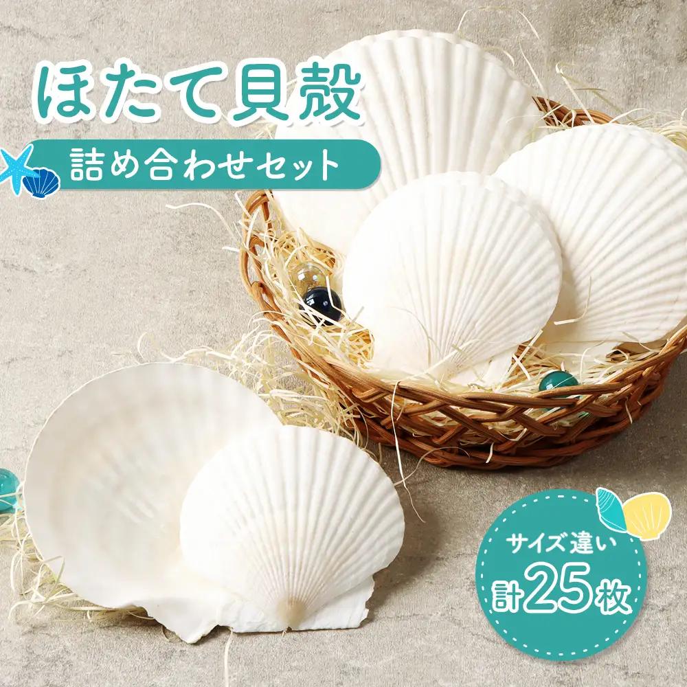 ほたて貝殻詰め合わせ【13001】