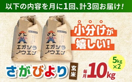 【全3回定期便】がばいうまか エガシライス（さがびより）玄米 10kg（5kg×2袋）【江頭農園】特A 特A評価[HAU006]