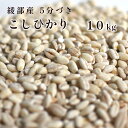 【ふるさと納税】綾部産 コシヒカリ 10kg 5分づき 精米 国産 京都府産 綾部 こしひかり 【送料無料】