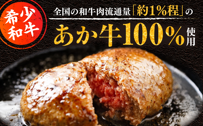 くまモンハンバーグセット（あか牛100％使用）【有限会社　三協畜産】 [BHAS009]