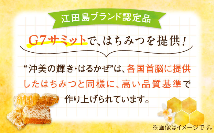 【お中元対象】【父の日ギフト対象】まじりっけなし！江田島産100％!はちみつ2種食べ比べセット（120g×3本） ハチミツ ハニー 蜂蜜 国産 広島県 江田島市/はつはな果蜂園 [XCD007]