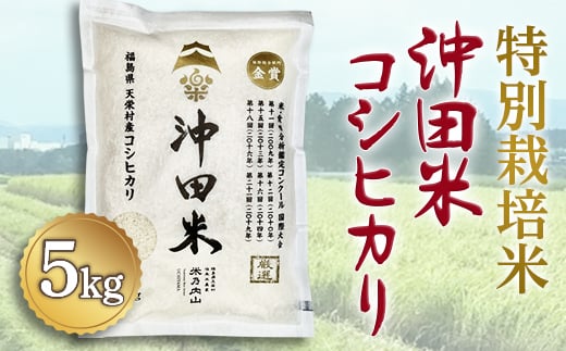 令和6年産米 特別栽培米 沖田米コシヒカリ 5kg F21T-073