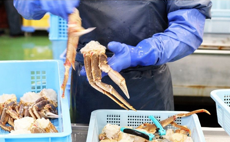 ほんまにうまい ずわいがに 1kg ハーフポーション ずわい蟹 ずわいガニ ズワイガニ 