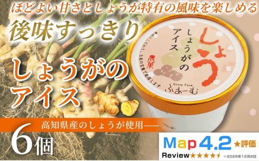 しょうがのアイス 100ml × 6個 アイスクリーム 人気  おやつ お菓子 アイスクリーム ファミリー おすすめ ご当地アイス アイス 高知県 生姜 しょうが 健康 フレーバー スイーツ デザート ヘルシー  手作り 話題 ユニーク 変わり種 ホームパーティー おもてなし 詰め合わせ 贈り物 贈答 ギフト プレゼント リピート ジェラート 安芸市 高知県