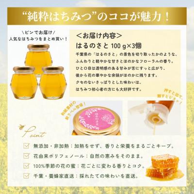ふるさと納税 大網白里市 大網白里育ちの「純粋はちみつ」はるのさと(百花蜜)3個 |  | 03