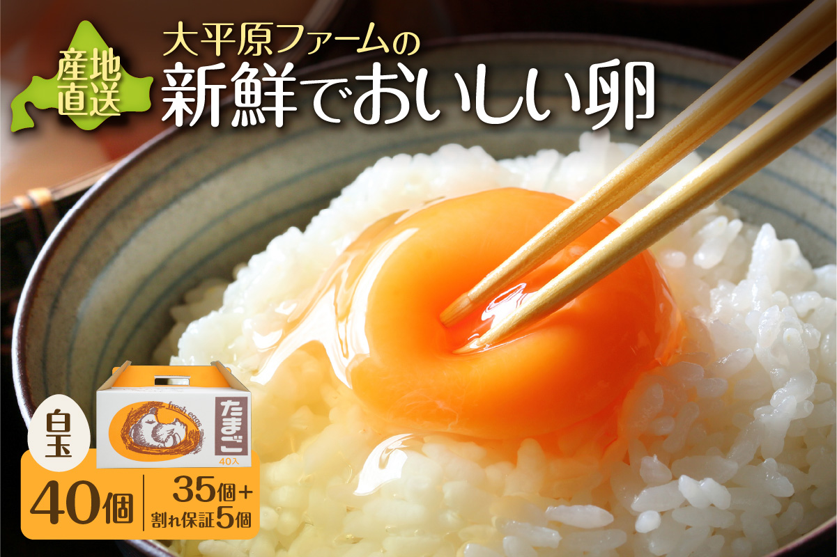 大平原ファームの新鮮でおいしい卵 計40個(白卵)【 北海道 清水 卵 40個 こだわり卵 卵かけご飯 玉子 タマゴ 卵焼き TKG 温泉卵 オムレツ ゆでたまご 栄養満点  国産  】