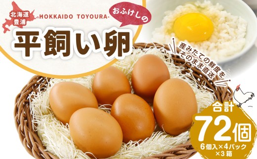 北海道 豊浦 おふけしの平飼い卵 （ 6個入 × 4パック ） × 3箱 合計72個 卵 たまご 玉子 タマゴ エッグ 鶏卵 黄身 ゆで卵 目玉焼き 卵焼き 卵かけご飯 たまごかけごはん TKG 卵料理 冷蔵