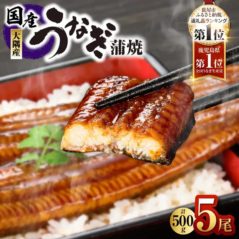 4001 鹿児島県大隅産うなぎ蒲焼5尾（500g） KN007-005-03 うなぎ ウナギ 鰻 うなぎ蒲焼 鰻蒲焼き ウナギ蒲焼 惣菜 総菜 魚類 魚貝類 魚介類 海産物 鰻重 うな重 ひつまぶし 鰻丼 土用の丑 魚 冷凍 大隅地区養まん漁業協同組合 ふるさと納税 鹿児島 鹿屋市 おすすめ ランキング プレゼント ギフト