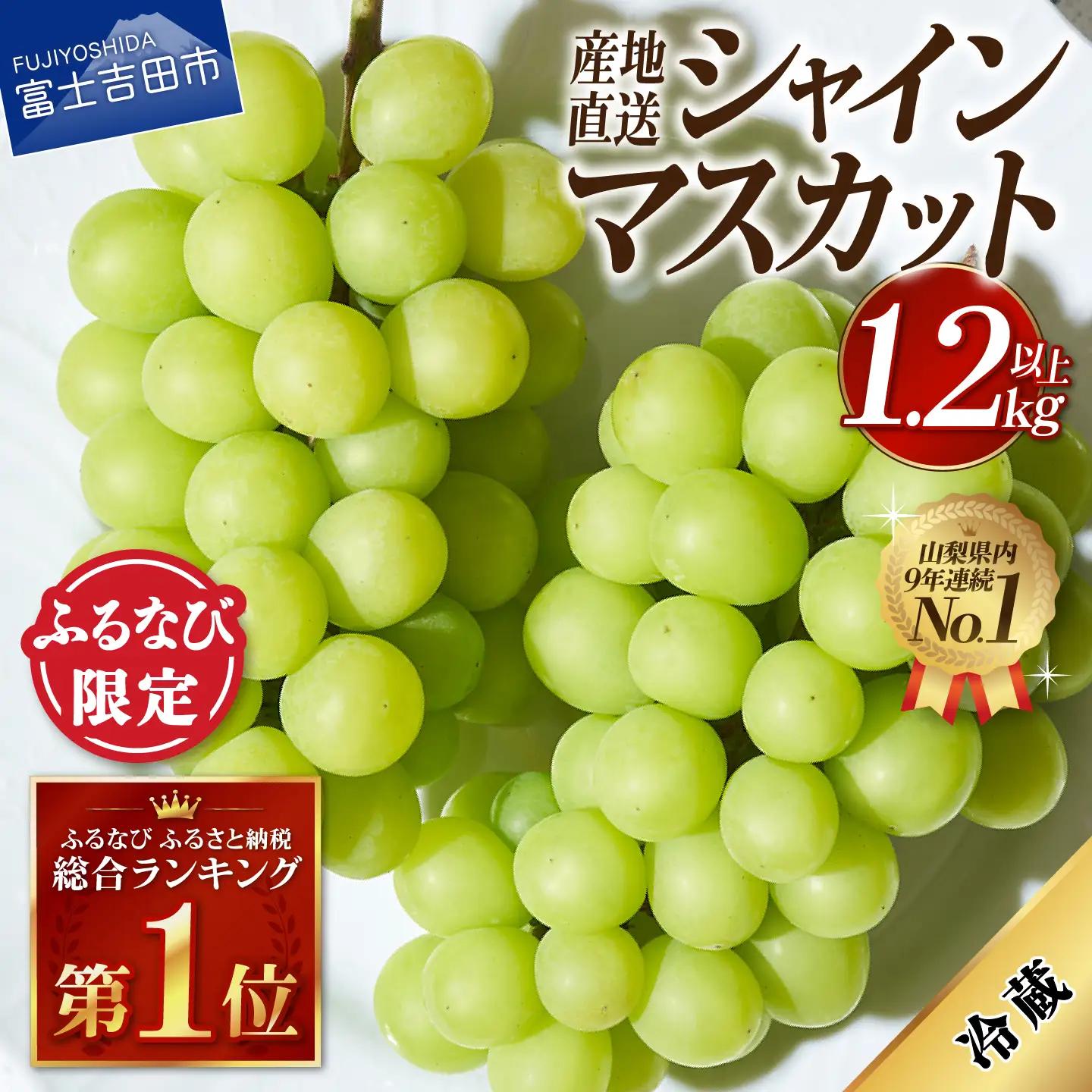 【ふるなび限定】 シャインマスカット 【2026年発送】高級 山梨県産 シャインマスカット 2～3房 （1.2kg以上） フルーツ FN-Limited-SP