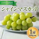 【ふるさと納税】 【令和7年産先行予約】 シャインマスカット 600g前後 (1房) 《令和7年9月中旬～発送》 『漆山果樹園』 マスカット 葡萄 ぶどう ブドウ 種なし 果物 フルーツ デザート 山形県 南陽市 [811]