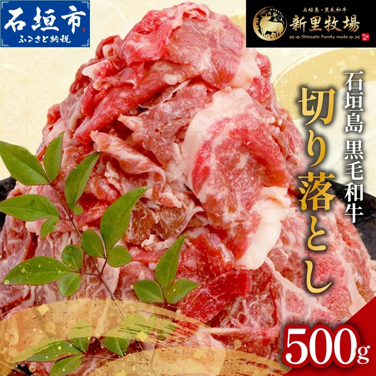 石垣島産 黒毛和牛 新里牛 多用途抜群！ 切落し (500g×1) 500g SZ-13