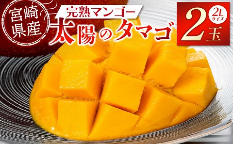 《2026年発送先行予約》【数量・期間限定】宮崎特産品 宮崎県産完熟マンゴー 太陽のタマゴ 2L×2玉 マンゴー 太陽のタマゴ 完熟マンゴー