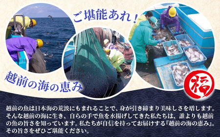 越前カレイ 「越前焼き赤かれい 5尾入 」簡単！調理済み [e15-a006]