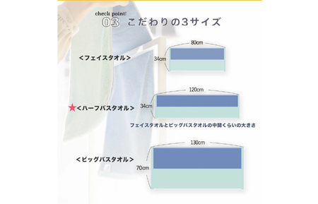 （今治タオルブランド認定）DAILY PRAIRIE リバーシブルハーフバスタオル 3枚セット （ミント／ブルー） [I002950ST3MT/B] 