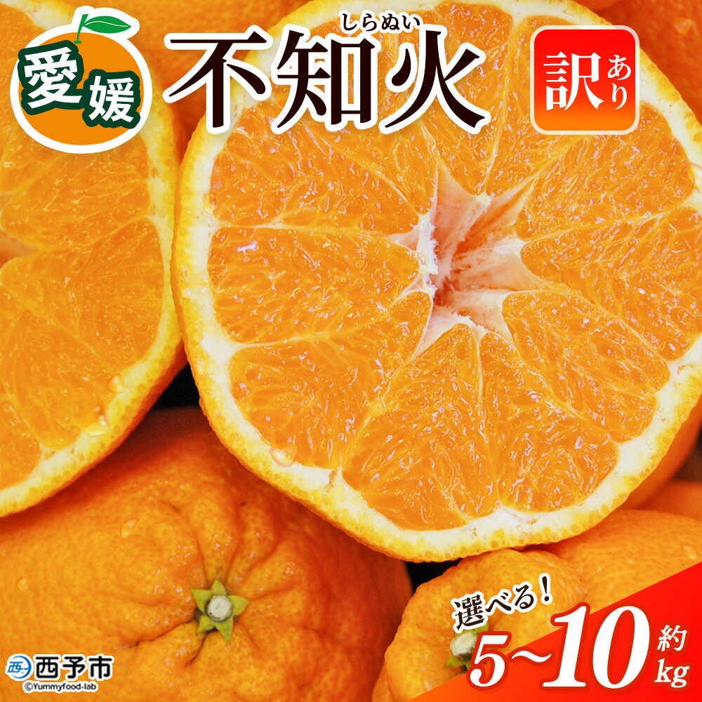 【ふるさと納税】＜訳あり 不知火 (サイズ混合) 約5kg／10kg＞選べる 内容量 愛媛 蜜柑 ミカン みかん 果物 フルーツ 柑橘 国産 しらぬひ しらぬい シラヌイ 不知火 愛媛県産 西予市産 西宇和 特産品 丸二青果 愛媛県 西予市【常温】『2026年2月～4月中旬頃に順次出荷予定』