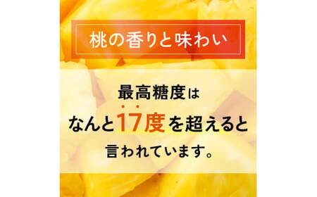 【先行予約】石垣島産 中玉ピーチパイン ６玉 合計約4.8kg《2026年5月以降発送》【 沖縄県石垣市 石垣島 フルーツ 果物 パイン 産地直送 】SI-119