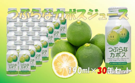 つぶらなカボスジュース(計5.7L・190ml×30本)かぼす ドリンク ジュース 果汁飲料 カボス 夏みかん つぶ入り 缶ジュース 特産品 大分県産【100500100】【大分県農業協同組合北部営農経済センター】