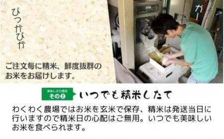 【令和6年産新米】〈6回定期便〉「わくわく農場」の五泉産 精米 コシヒカリ 10kg(5kg×2袋)［2024年10月中旬以降順次発送］ わくわく農場