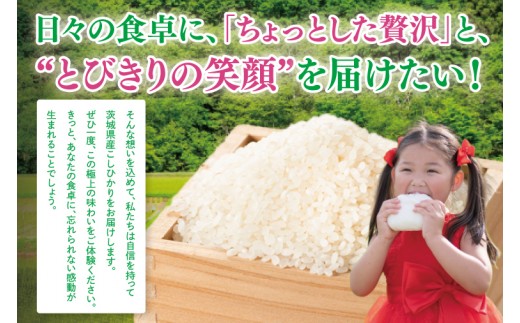 【数量限定】令和8年産 新米 美味追求 茨城県産こしひかり 5キロ 精米【お米 ごはん コシヒカリ おにぎり ごはん 茨城県 水戸市】(NA-4)