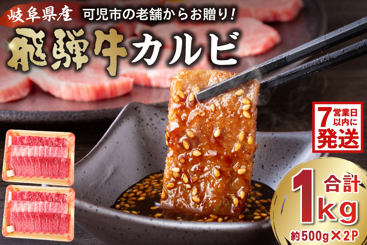 
【7営業日以内発送】 飛騨牛 カルビ 1kg （500g×2） 【早期発送 焼肉 肉 牛肉 カルビ 焼肉用 合計1kg 1キロ まとめ買い おうち焼肉 BBQ バーベキュー 肉 花見 和牛 国産牛 黒毛和牛 】
