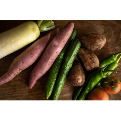 ふるさと納税 越知町 越知産市の季節の野菜セット(年12回発送)　産地直送　旬野菜 |  | 01