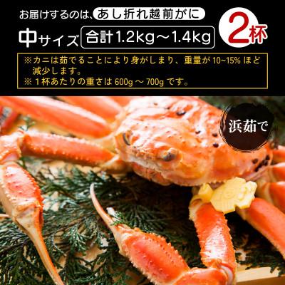 ふるさと納税 越前町 【訳あり】足折れ 越前がに 中サイズ × 2杯【2025年1月発送分】 |  | 03
