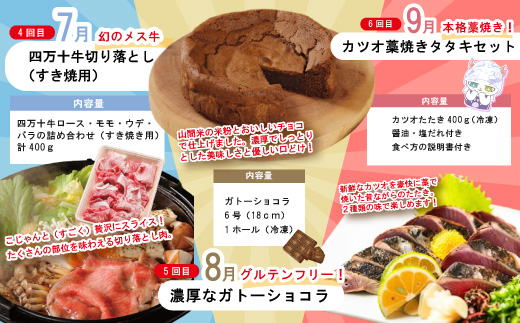 【 年末限定 】 8回 定期便 四万十 人気グルメ お楽しみ定期便 しまんと ふるさと定期便 10万円 Aコース 今だけ 鰻 牛肉 鶏肉 豚肉 パン 魚 タタキ 鰹 カツオ みかん 柑橘 フルーツ ケ