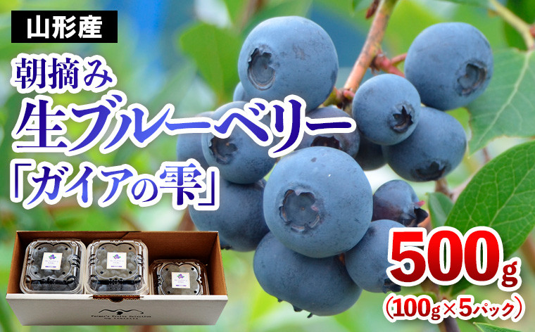 
            山形の朝摘み生ブルーベリー「ガイアの雫」500g(100g×5パック) FY25-109
          