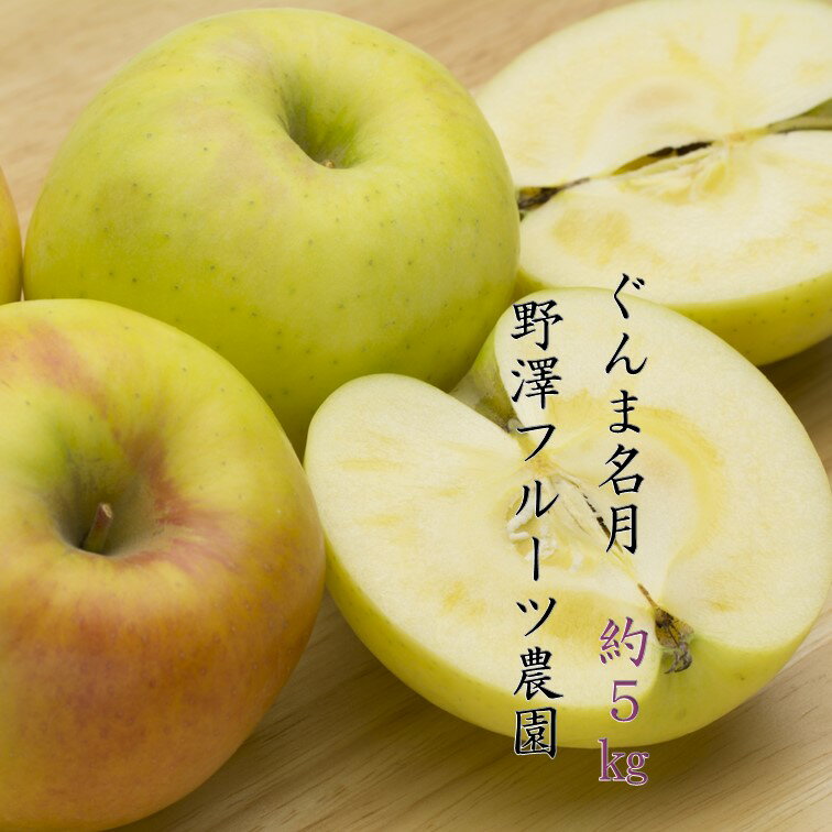 【ふるさと納税】先行予約 230 りんご： 名月 5kg11月中下旬以降発送【野澤フルーツ農園】