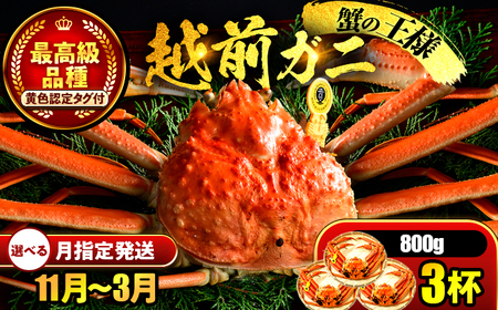 【先行予約/11月7日より順次発送】 【希望月指定可】 越前がに 800ｇ×3ハイ / 蟹 ズワイガニ ずわいがに ボイル 冷蔵 小浜市 / まるほ商店 【配送不可地域：北海道・沖縄・離島】[BFCS026]