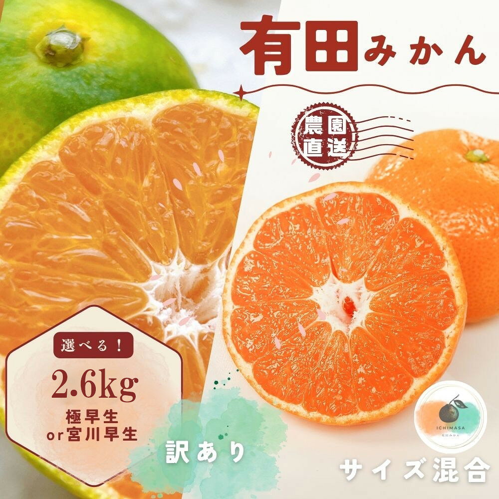 【ふるさと納税】【選べる種別】【先行予約】有田みかん 極早生 or 宮川早生 2.6kg（箱込み3kg） 訳あり S～Lサイズおまかせ | 有田みかん 訳あり わけあり フルーツ mikan 有田 和歌山 人気 おすすめ お試し 送料無料 産地直送 蜜柑 低農薬栽培