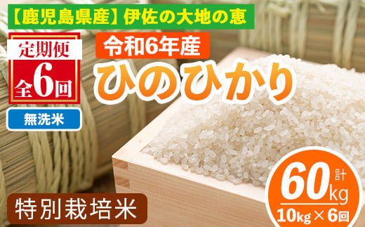 isa517-B 【定期便6回】 ＜無洗米＞選べる精米方法！令和6年産 鹿児島県伊佐産 特別栽培ひのひかり(計60kg・10kg×6ヵ月) 国産 白米 精米 無洗米 伊佐米 お米 米 生産者 ひのひかり 定期便 新米【Farm-K】