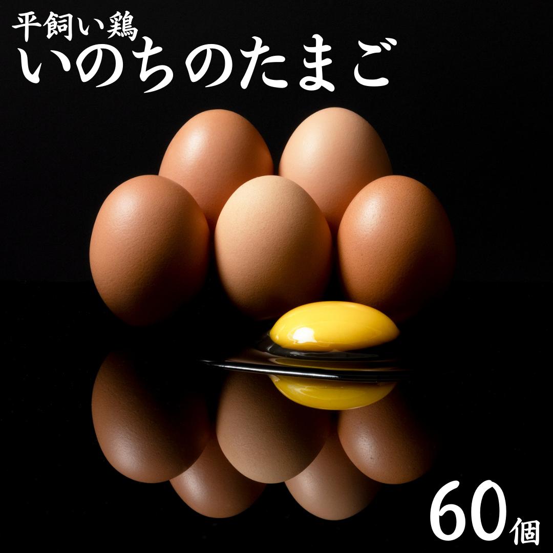 155J.平飼い鶏の『いのちのたまご』60個