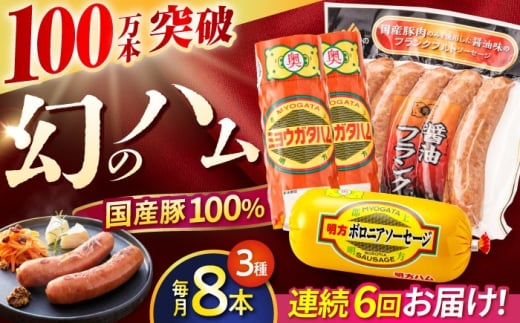 【6回定期便】明方ハム詰め合わせ Bセット / 明方 ハム 厚切り ボロニアソーセージ ハムステーキ 朝食 フランクフルト ウインナー BBQ ソーセージ フランク 箱入り ギフト / 御嵩町 / めぐみの農業協同組合 [AVBA007]