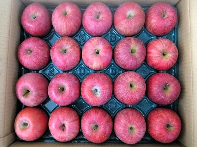 りんご（サンふじ）５ｋｇ　２０玉　特秀品　0056-2622