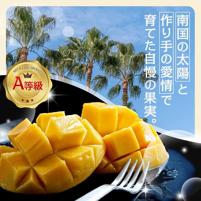 【先行受付!】宮崎完熟マンゴー2～3玉(都城産)≪2027年6月～7月頃順次お届け≫〔AC-3303〕_(都城市) 宮崎マンゴー A等級 2玉～3玉 2Lサイズ～3Lサイズ MANGO フルーツ 化粧