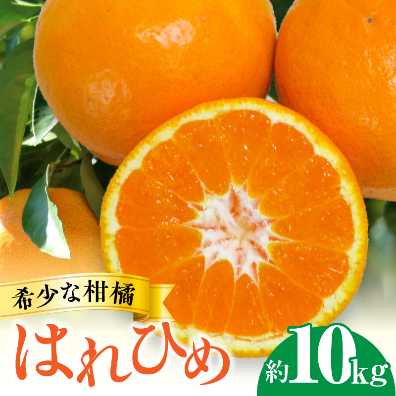 M02-0154_【ふるさと納税】【配送不可地域：北海道・沖縄県・離島】フルーツ デザート 果物 果実 みかん 柑橘 希少 柑橘 はれひめ 約10kg お土産 ギフト 生産量 オレンジ 内皮ごと フルーツ王国 香川県 三豊市 お取り寄せ 送料無料