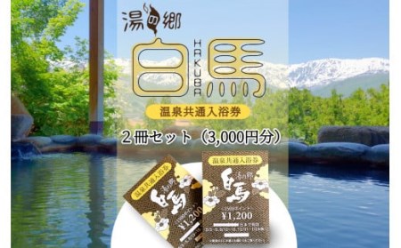 湯の郷 白馬 温泉共通入浴券2冊セット 3,000円分(100円分×15枚綴り×2冊)