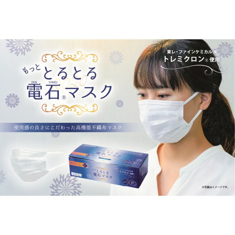 【ふるさと納税】もっと とるとる電石マスク ふつうサイズ 30枚入×1箱