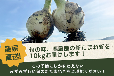 【先行予約】【2025年4月より順次出荷】【生産者直送】鹿島産 新たまねぎ 約10kg サイズ混合 | ふるさと納税 玉葱 野菜 玉ねぎ タマネギ 新玉ねぎ 国産 佐賀県産 鹿島市 安心 安全 満足 