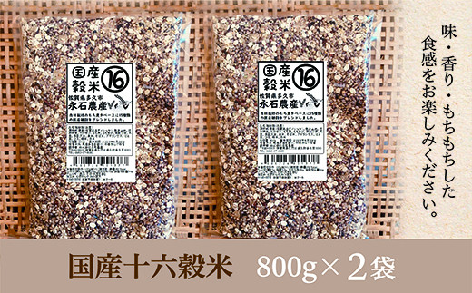 
国産 十六穀米 【 雑穀米 国産 】 800g×2袋 もち麦 発芽玄米 押し麦 かたきび もち粟 もちきび 小豆 丸麦 黒大豆 黒米 そば米 アマランサス はと麦 ひえ 緑米 赤米 ８００ｇ×２袋 _b-364
